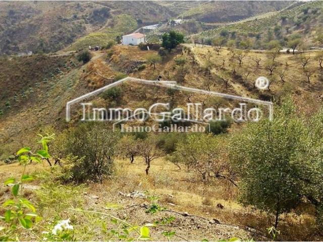 Casa en venta en Vélez-málaga, Capuchinos