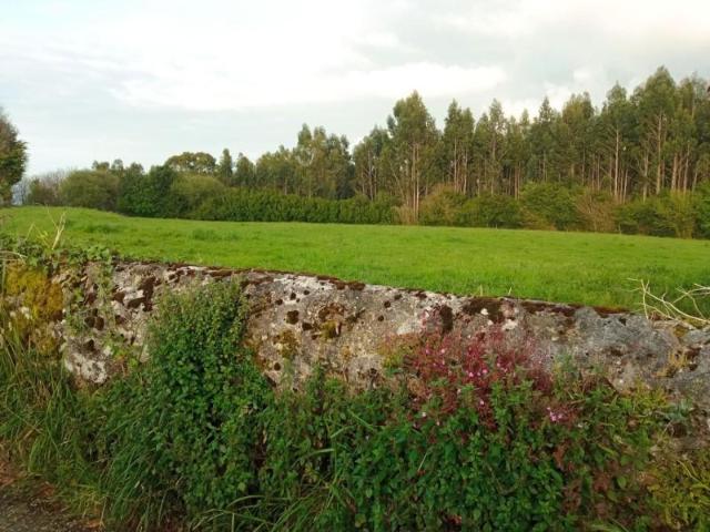 Casa en venta en Llamuño, Cudillero