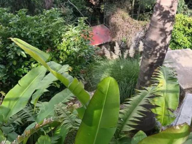 Casa en venta Cuernavaca morelos amueblada