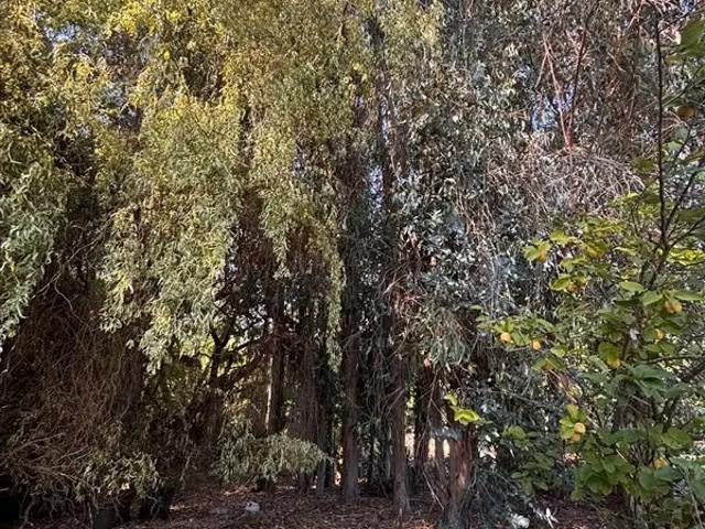 Casa en venta en Quepo, Pencahue