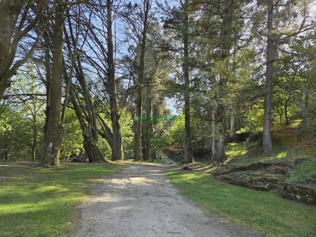 Casa en venta en A Paradanta, Galicia