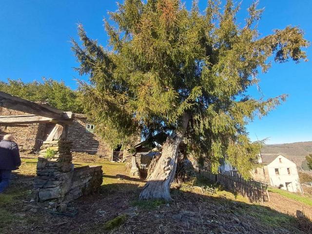 Casa en venta en A Fonsagrada, Lugo