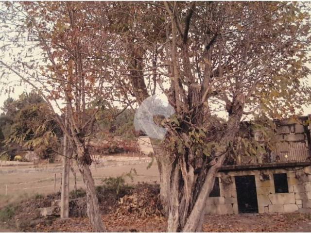 Casa en venta en Ourense, Galicia