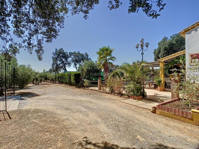 Casa en venta en Adamuz, Andalucía