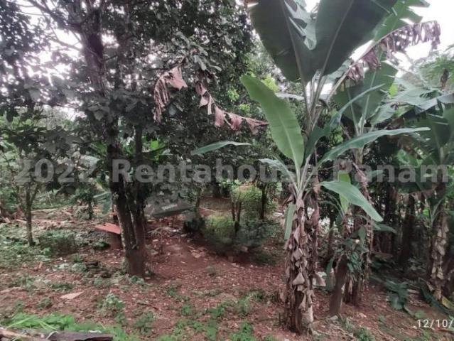 Casa en Venta en Agua Buena Agua Buena Los Santos 5 hab