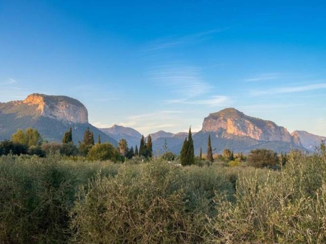 Casa en venta en Raiguer, Baleares