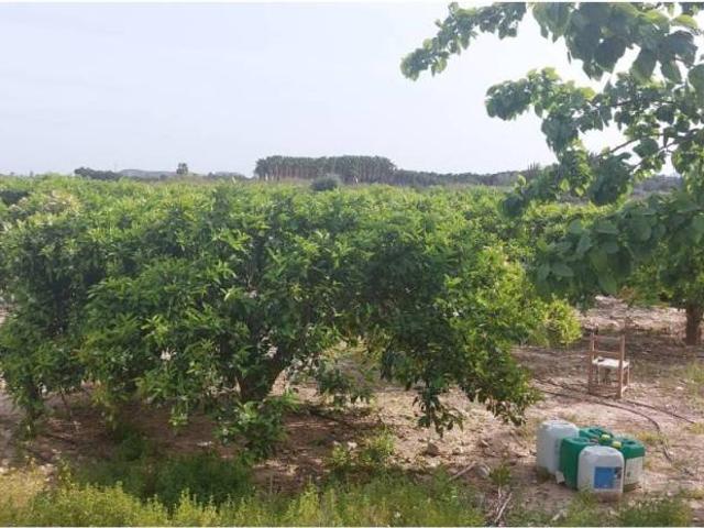 Casa en venta en el Baix Segura / La Vega Baja, Valencia