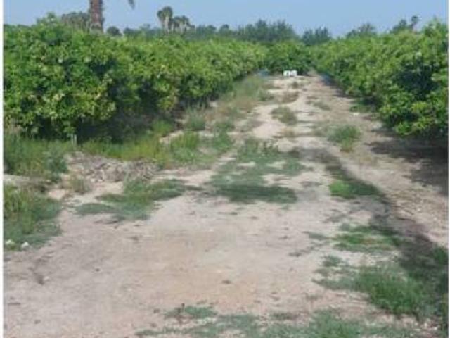 Casa en venta en el Baix Segura / La Vega Baja, Valencia