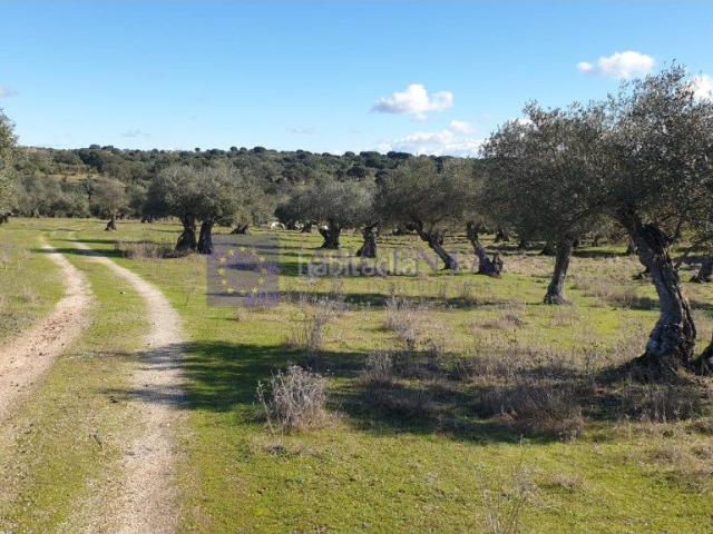 Casa en venta en Alcántara, Extremadura