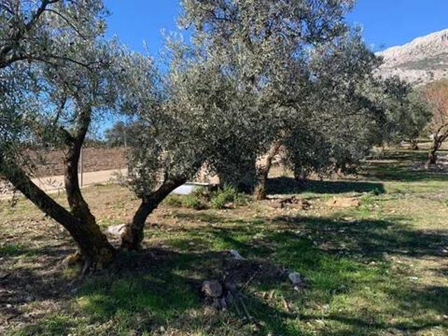 Casa en venta en La Axarquía, Andalucía