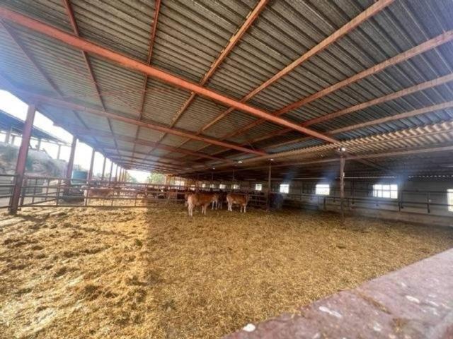 Casa en venta en l'Alacantí, Valencia