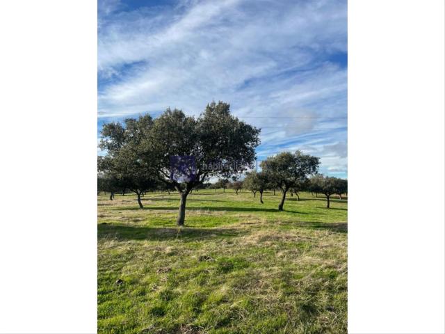 Casa en venta en Alcántara, Extremadura