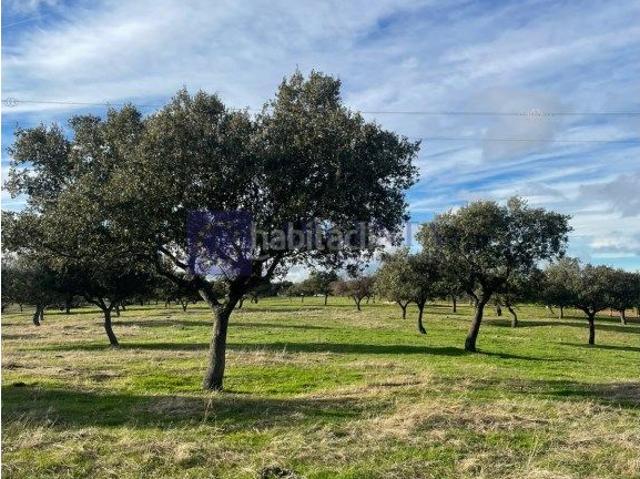 Casa en venta en Alcántara, Extremadura