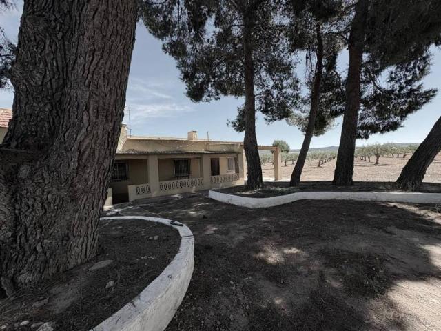 Casa en venta en Almansa, Castilla-La Mancha