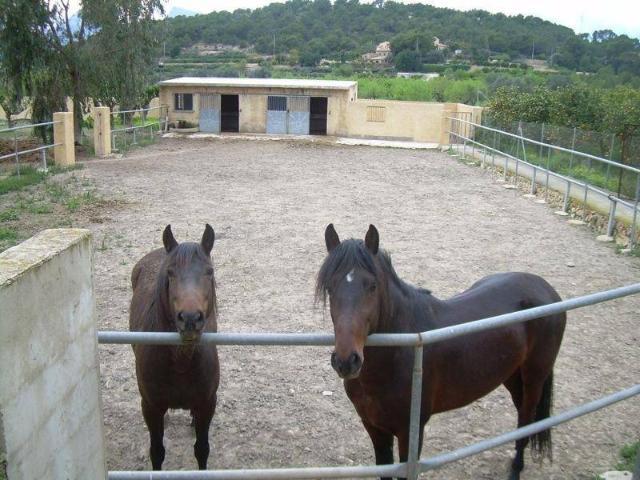 Casa en venta en la Marina Baixa, Valencia