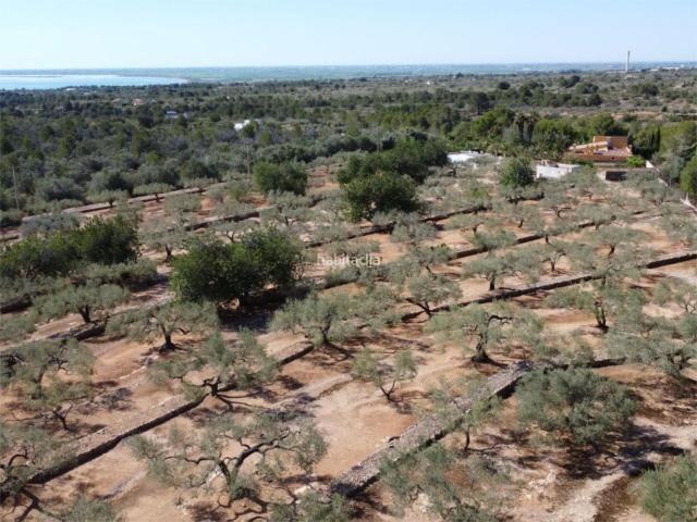 Casa en venta en Baix Ebre, Catalunya