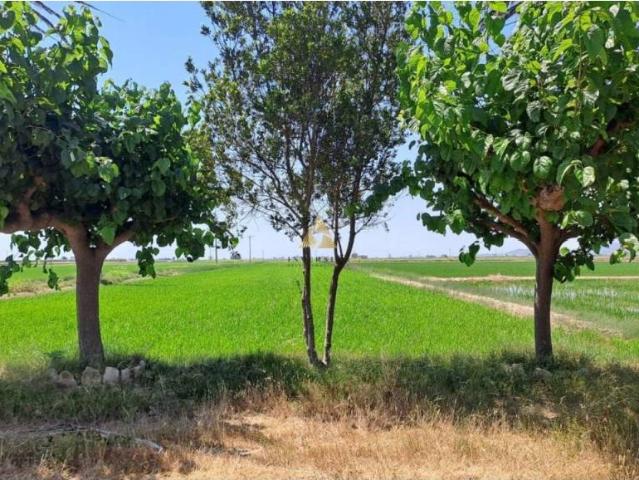 Casa en venta en Montsià, Catalunya