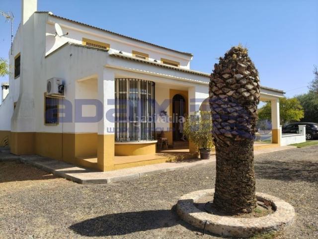 Casa en venta en Argamasilla de Calatrava, Ciudad Real