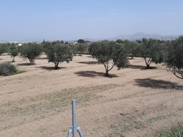 Casa en venta en el Vinalopó Mitjà / El Vinalopó Medio, Valencia