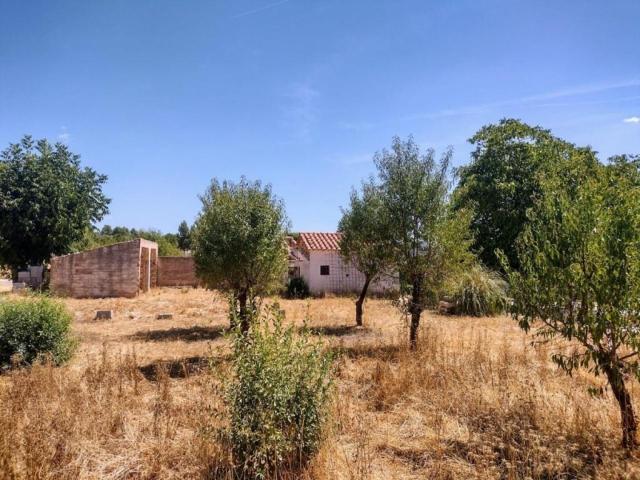 Finca en venta en Ayora