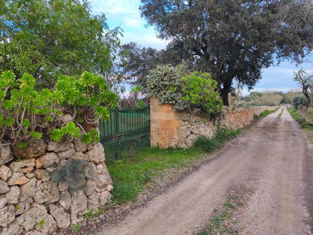Casa en venta en Pina, Pla de Mallorca