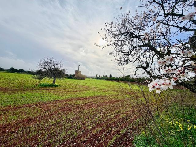 Casa Rural en venta en Migjorn, Baleares