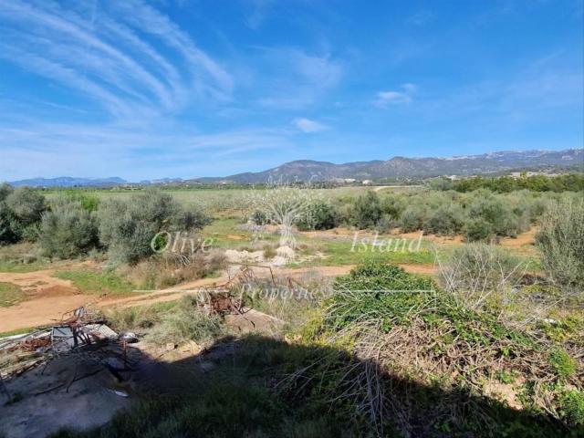 Casa en venta en Consell