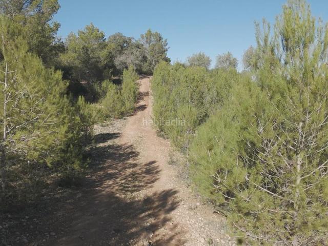 Casa en venta en Pla de Mallorca, Baleares