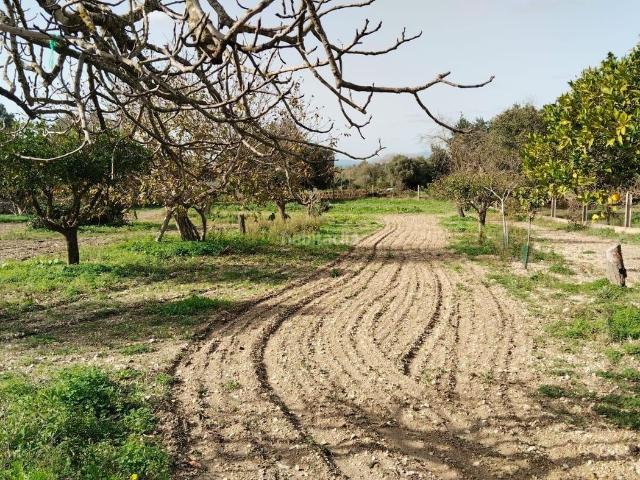 Casa en venta en Migjorn, Baleares