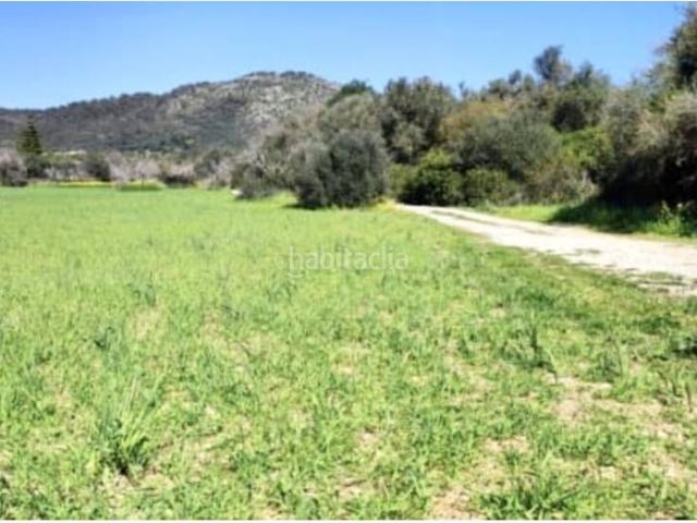 Casa en venta en Crist Rei, Raiguer