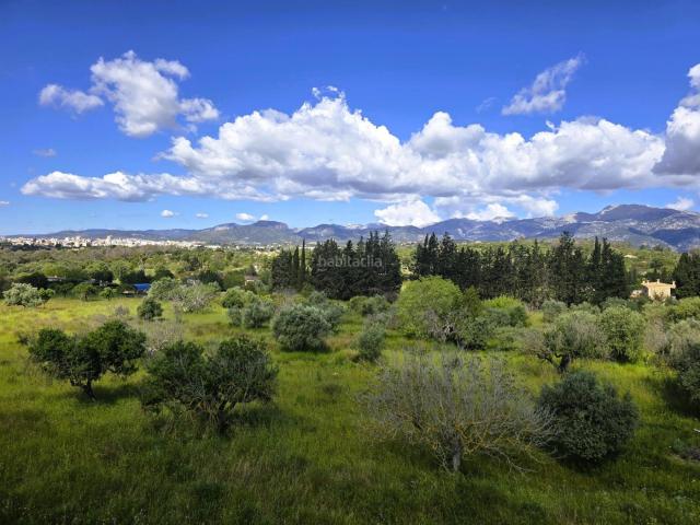 Casa en venta en Crist Rei, Raiguer