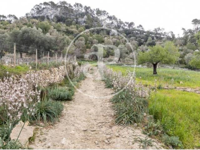 Casa en venta en Serra de Tramuntana, Baleares
