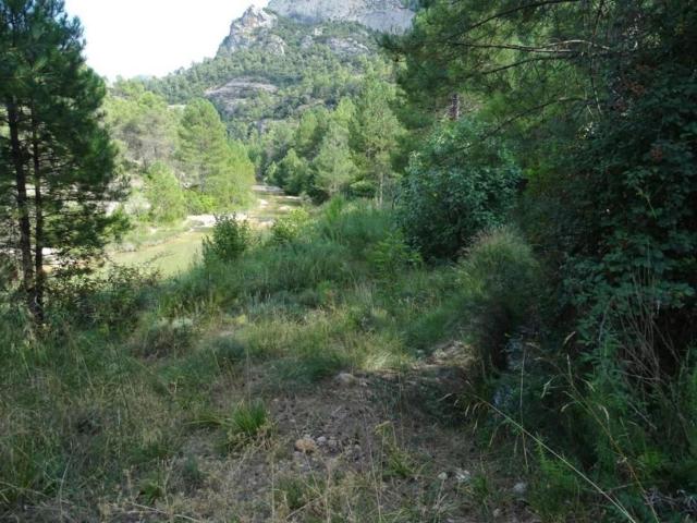 Casa en venta en Beceite, Teruel