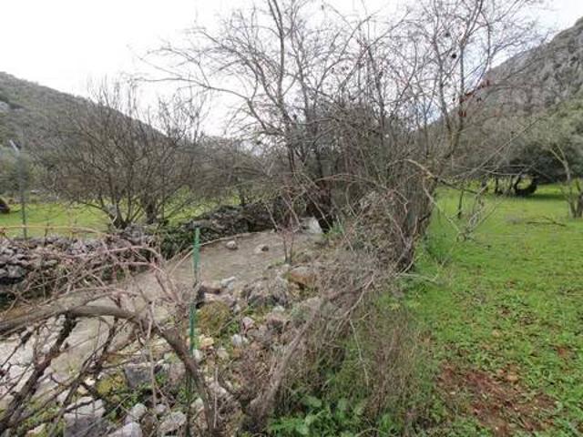 Casa en venta en Serranía de Ronda, Andalucía