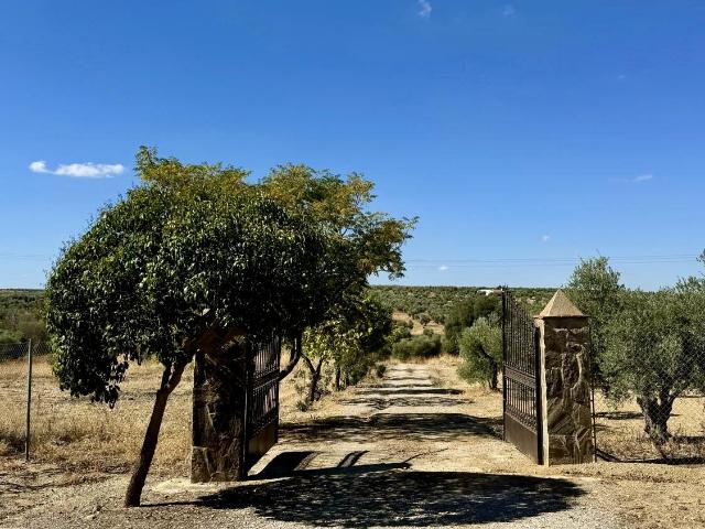 Casa en venta en Berlanga, Extremadura