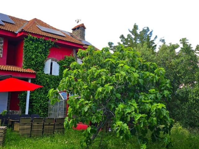 Casa en venta en Torremocha De Jarama, Madrid