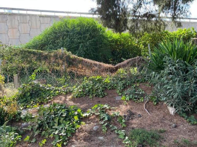 Casa en venta en Tollos, Vega Alta del Segura