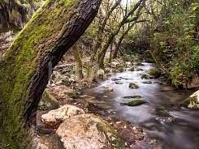Casa en venta en Sierra de Cádiz, Andalucía