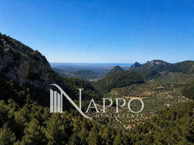 Casa en venta en Serra de Tramuntana, Baleares
