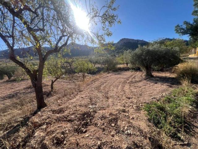 Casa en venta en El Andévalo, Andalucía