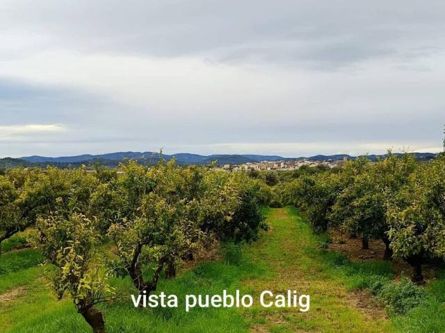 Casa en venta en el Baix Maestrat, Valencia