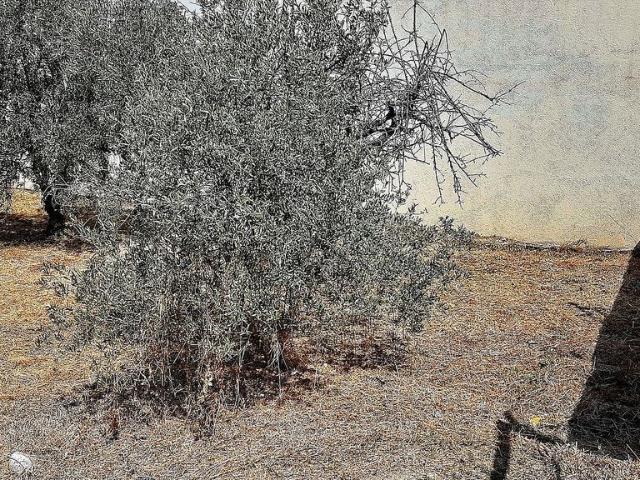Casa en venta en Alt Penedès, Catalunya