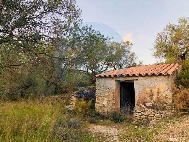 Casa en venta en Baix Ebre, Catalunya