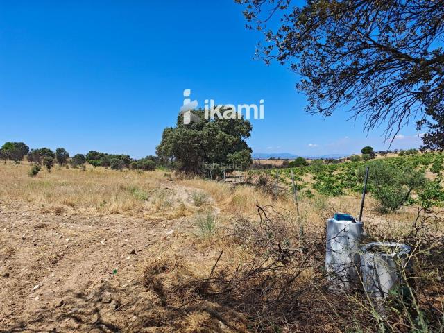 Casa en venta en Casarrubios Del Monte, Castilla-La Mancha