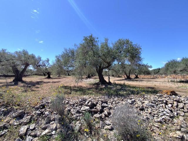 Casa en venta en Baix Ebre, Catalunya