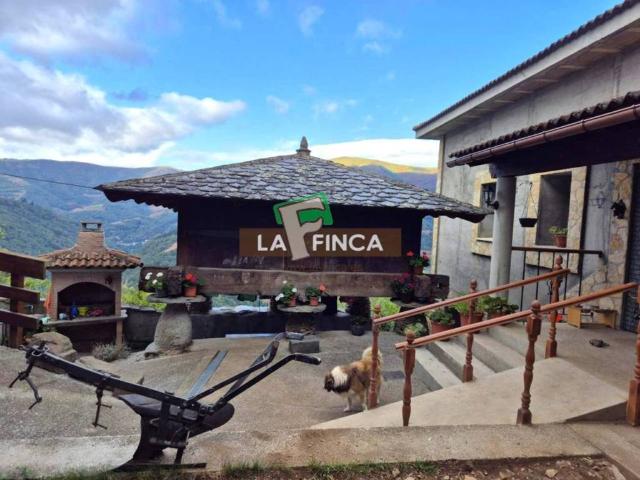 Casa en venta en Cangas Del Narcea, Asturias