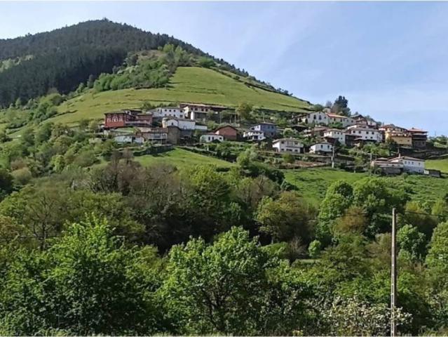 Casa en venta en Cangas Del Narcea, Asturias