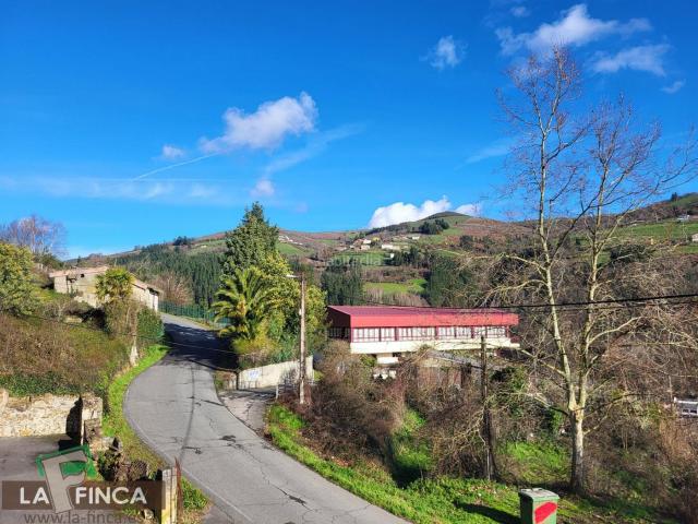 Casa en venta en Cangas Del Narcea, Asturias