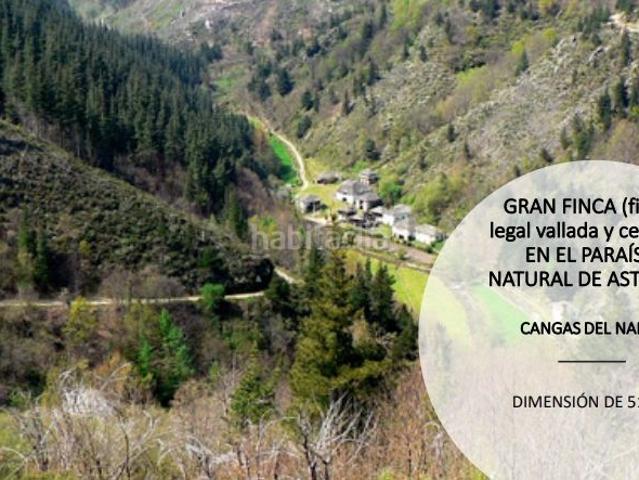 Casa en venta en Cangas Del Narcea, Asturias