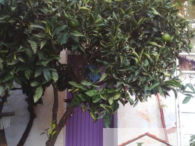 Casa en venta en La Axarquía, Andalucía